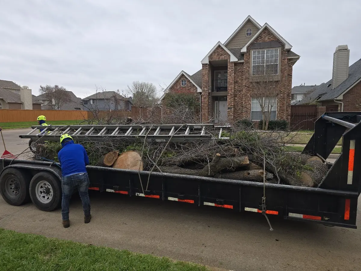 Expert Tree Removal with proper safety equipment in Bigelow